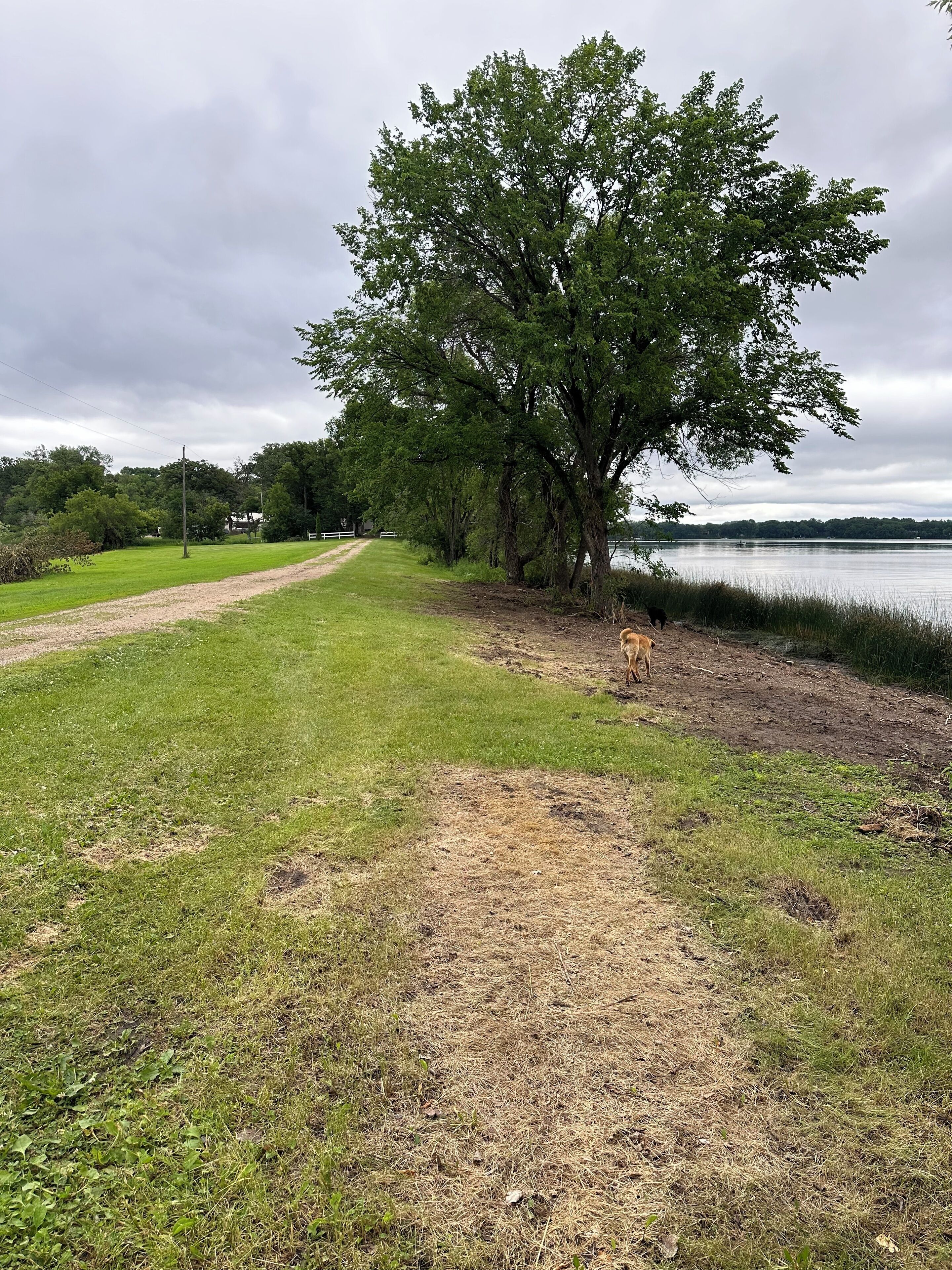 9 Acre Private Peninsula on Pelican Lake in Ashby.  