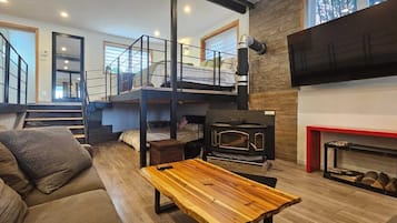 Smart TV, fireplace, books, stereo