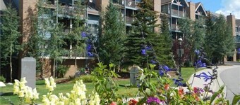 1 Bedroom Condo
