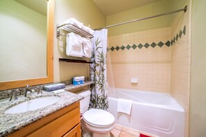 Hair dryer, towels, shampoo, toilet paper