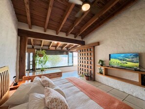 Un dormitorio con una cama, televisor, techo de madera y ventana con vistas.