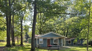 Property grounds - MAPLE COTTAGE - Lakefront on Thayer Lake in Alden with WiFi, AC (Alden)