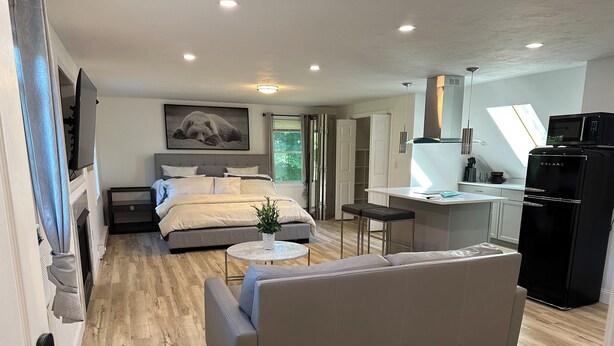 A modern, well-lit room with a bed, a sofa, a small table with a plant, and a kitchen area with a refrigerator and microwave. - Beatiful Studio in Raynham MA, minutes to shopping, Massasoit State park, etc (Raynham)