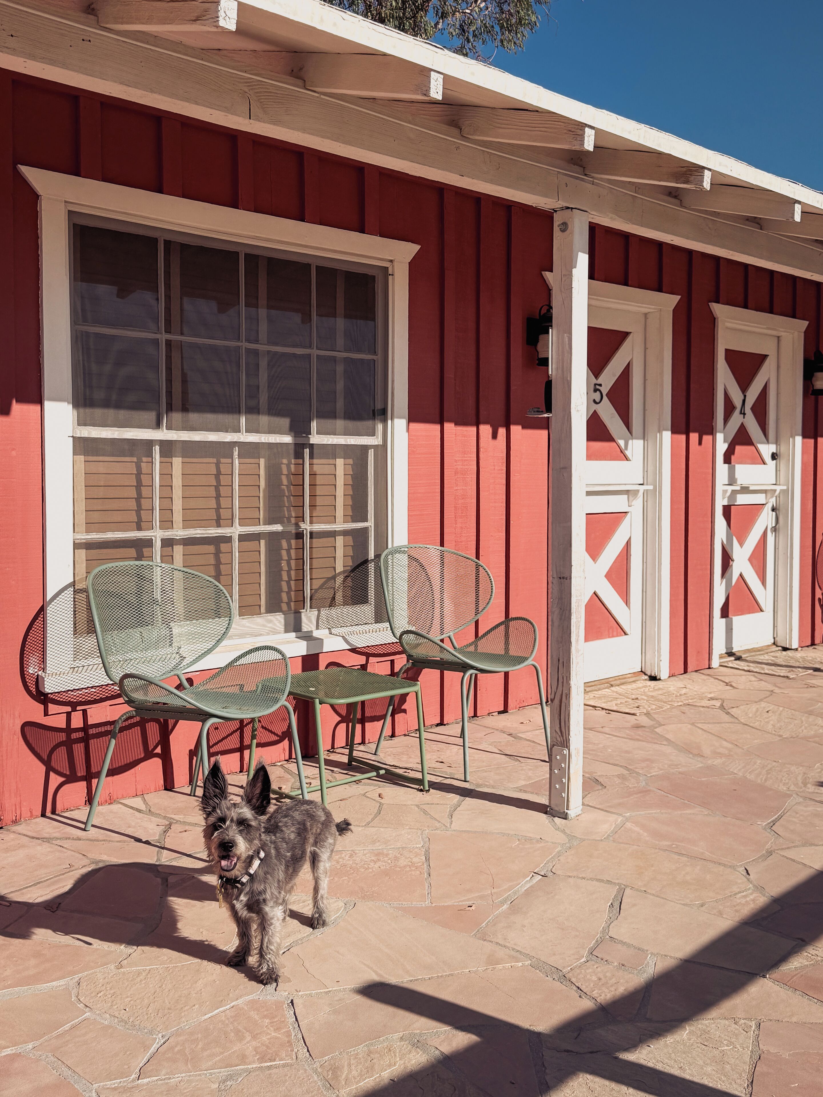 Un bâtiment rouge avec des portes et des fenêtres blanches, des tables et des chaises en métal disposées à l’extérieur, et un petit chien sur la terrasse.