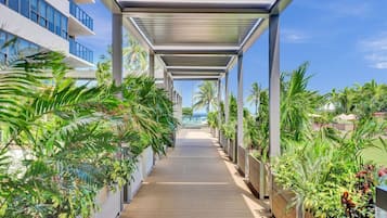 Un pasillo cubierto con piso de madera, bordeado por macetas con plantas tropicales, que conduce a un edificio con grandes ventanales.