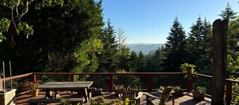 Tranquil Forest Hills House