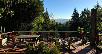 Tranquil Forest Hills House