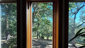 Vista pela janela com moldura de madeira, mostrando uma área arborizada com árvores e uma trilha de terra.