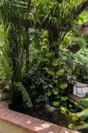 Property grounds - Charming Studio with Garden Oasis in Kingston (Kingston)