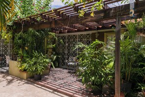 A covered outdoor area with potted plants, a metal gate, and a wooden pergola.