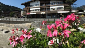 Unclassified image, 3 of 28, button - Appartements Robert Bechlwirt (Kirchberg in Tirol)