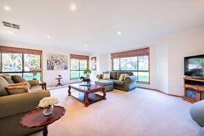 TV, fireplace, video games, books