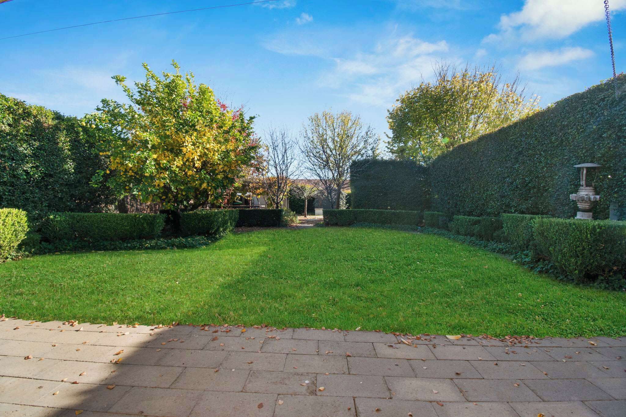 A well-maintained garden with a paved walkway, neatly trimmed hedges, and a variety of trees.