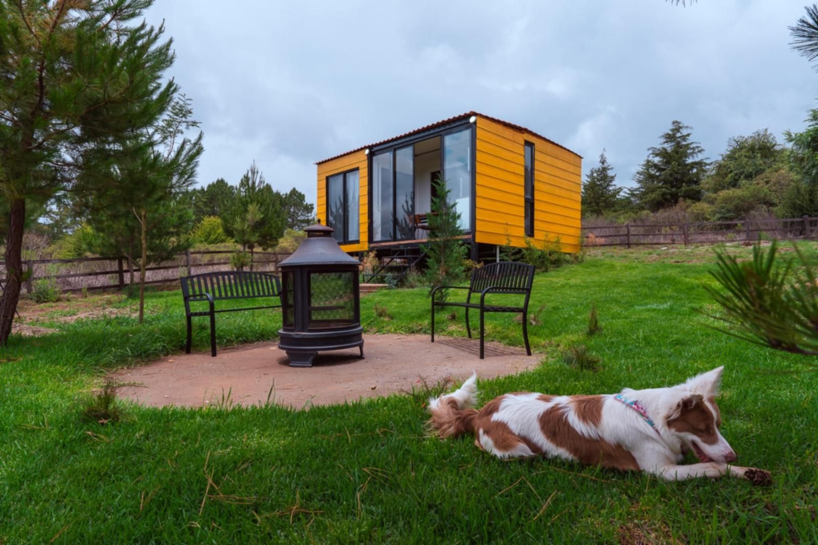 Een gele blokhut met een glazen deur, een zwarte lantaarn en twee zwarte stoelen in een grasveld.
