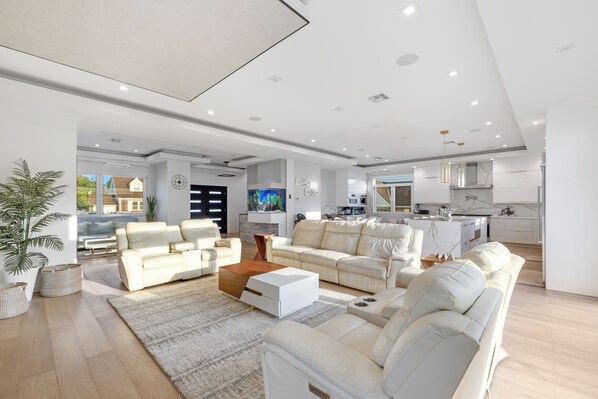 Smart TV, fireplace, video games, computer monitors