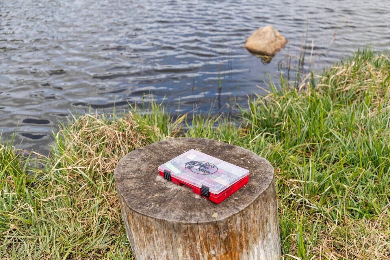 Un livre posé sur une souche d’arbre, près d’une étendue d’eau.