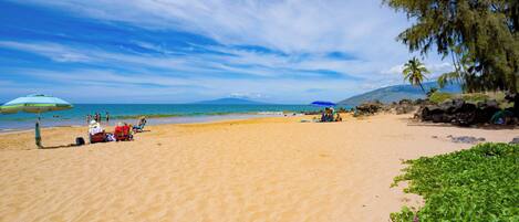 Sun loungers, beach towels