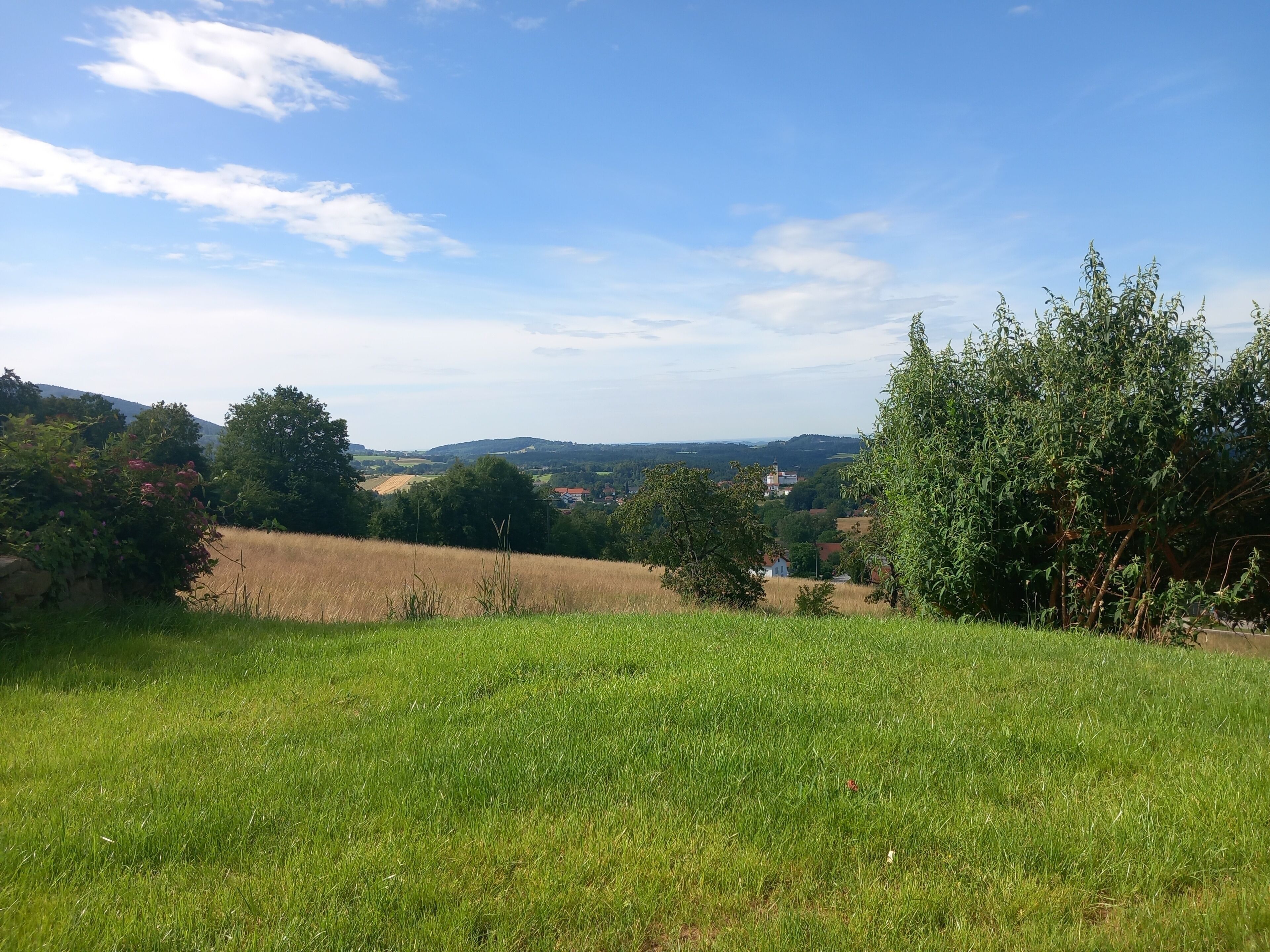 A grassy field with trees and a distant view of a town.