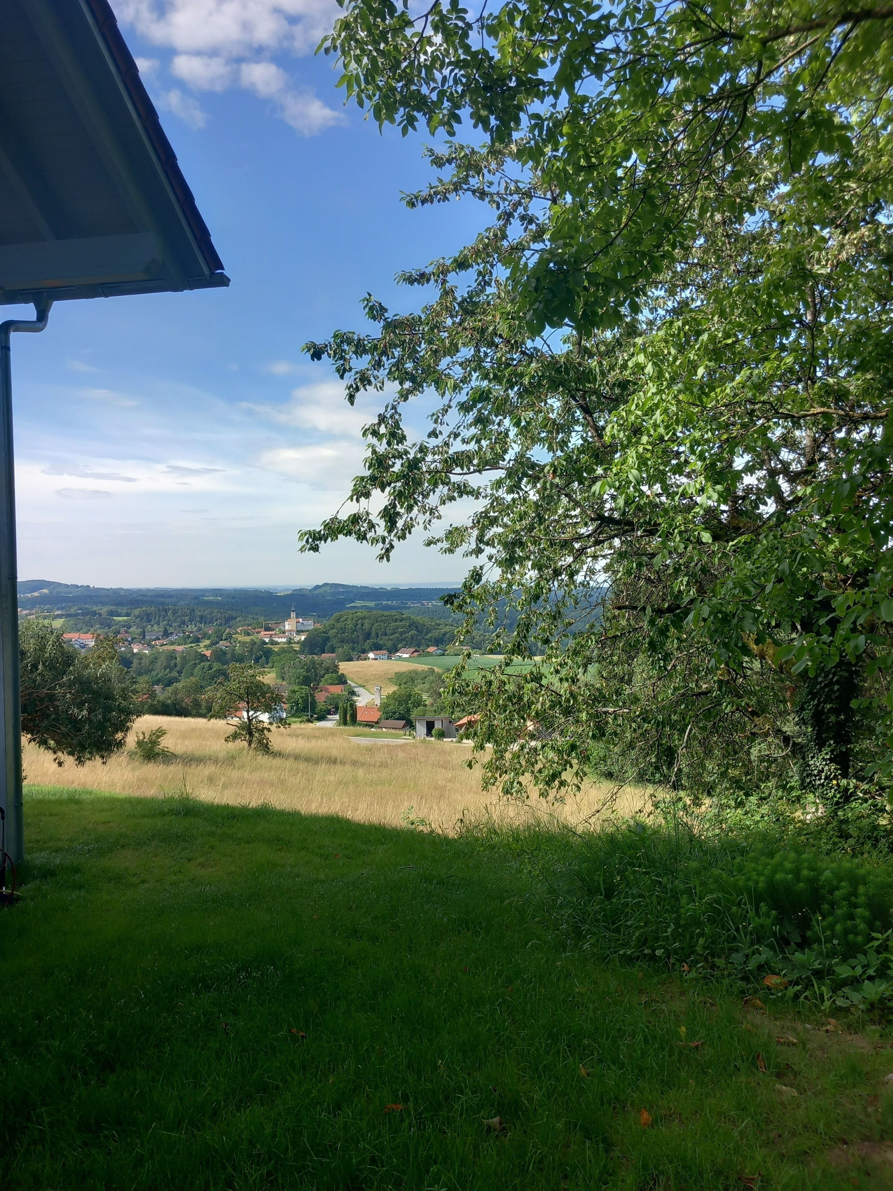Vista desde un espacio al aire libre cubierto, con un primer plano de césped, un árbol y un paisaje lejano que incluye edificios y colinas.