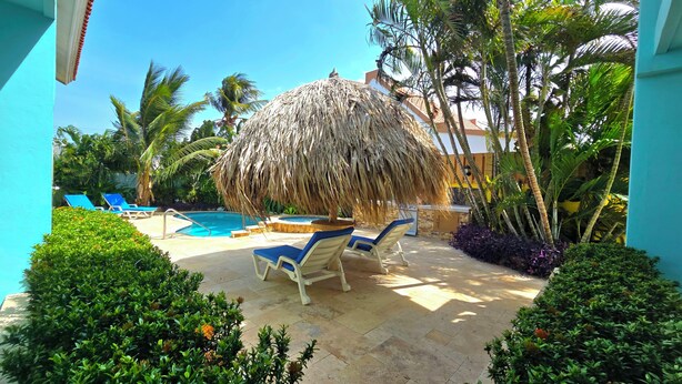 A pool area with lounge chairs, a thatched umbrella, and tropical plants.