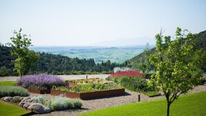 A landscaped garden with a variety of plants and a view of rolling hills in the background. - Private Villa with hot tub, private pool, A/C, WIFI, patio, pets allowed, close to San Gimignano (Volterra)