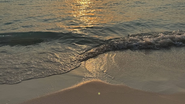 Una playa con el sol poniéndose sobre el océano, olas mansas lamiendo la orilla.