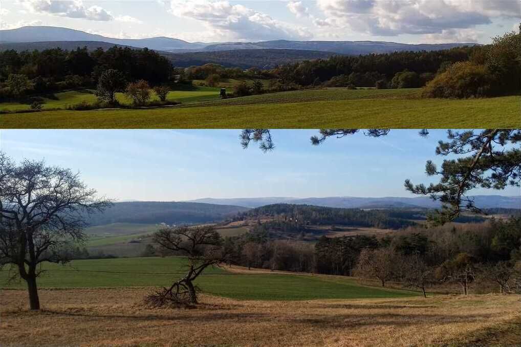 Un paysage rural caractérisé par des collines douces et des arbres dispersés.