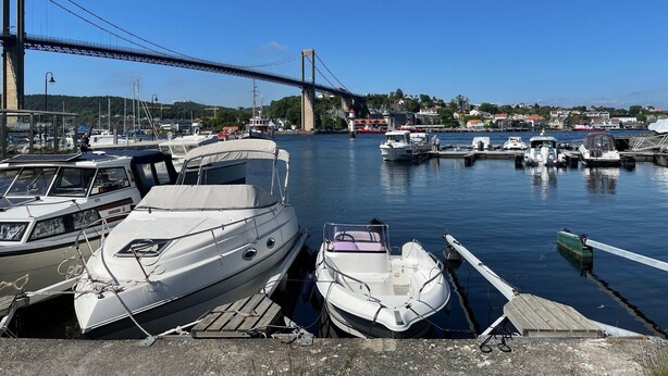 A marina with boats docked, a bridge in the background, and a clear sky.