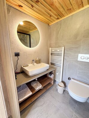 Dusche, Regendusche, Haartrockner, Handtücher
