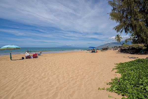 Sun-loungers, beach towels