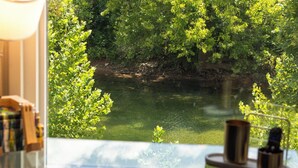 Interior - Urban condo with loft office-community pool (Branson)