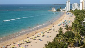 Una spiaggia con molti ombrelloni, palme e una vista limpida sull'oceano.