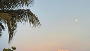 Una spiaggia al tramonto, con palme e un mare calmo.