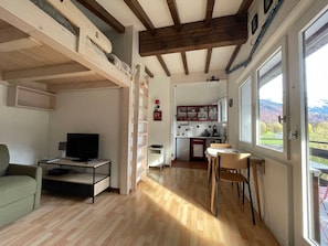 TV, DVD player - Cozy studio in Samoëns with balcony and WiFi near center (Samoëns)