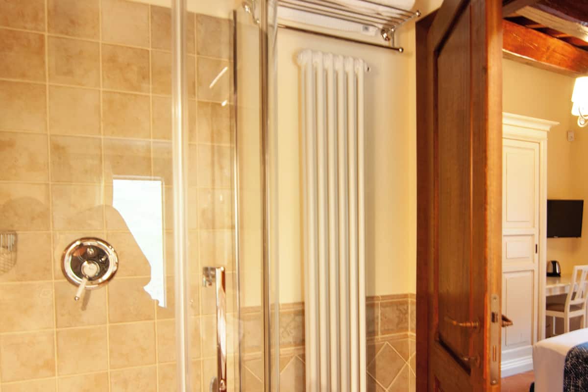 A shower area with a glass door, a white radiator, and a wooden door leading to a room.