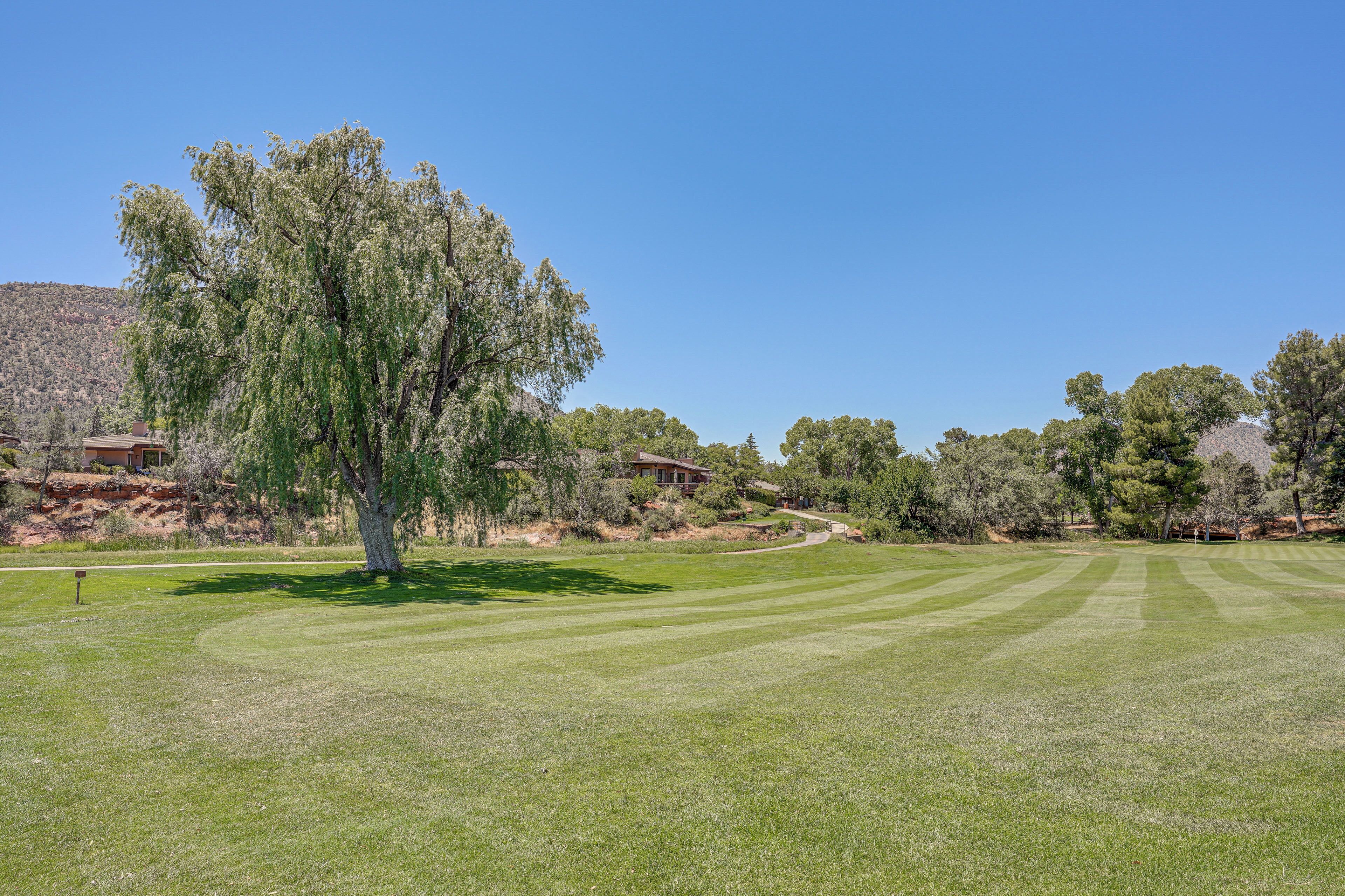 A well-maintained golf course with a large tree in the foreground, a clear blue sky, and a hilly landscape in the background.