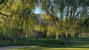 A golf course with lush green grass, trees, and a clear sky. - Sedona Condo on Golf Course w/ Pool Access! (Sedona)