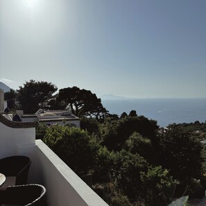 Une terrasse avec vue sur la mer, entourée de verdure et sous un ciel dégagé.