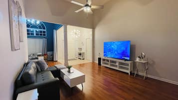 Smart TV, fireplace, books