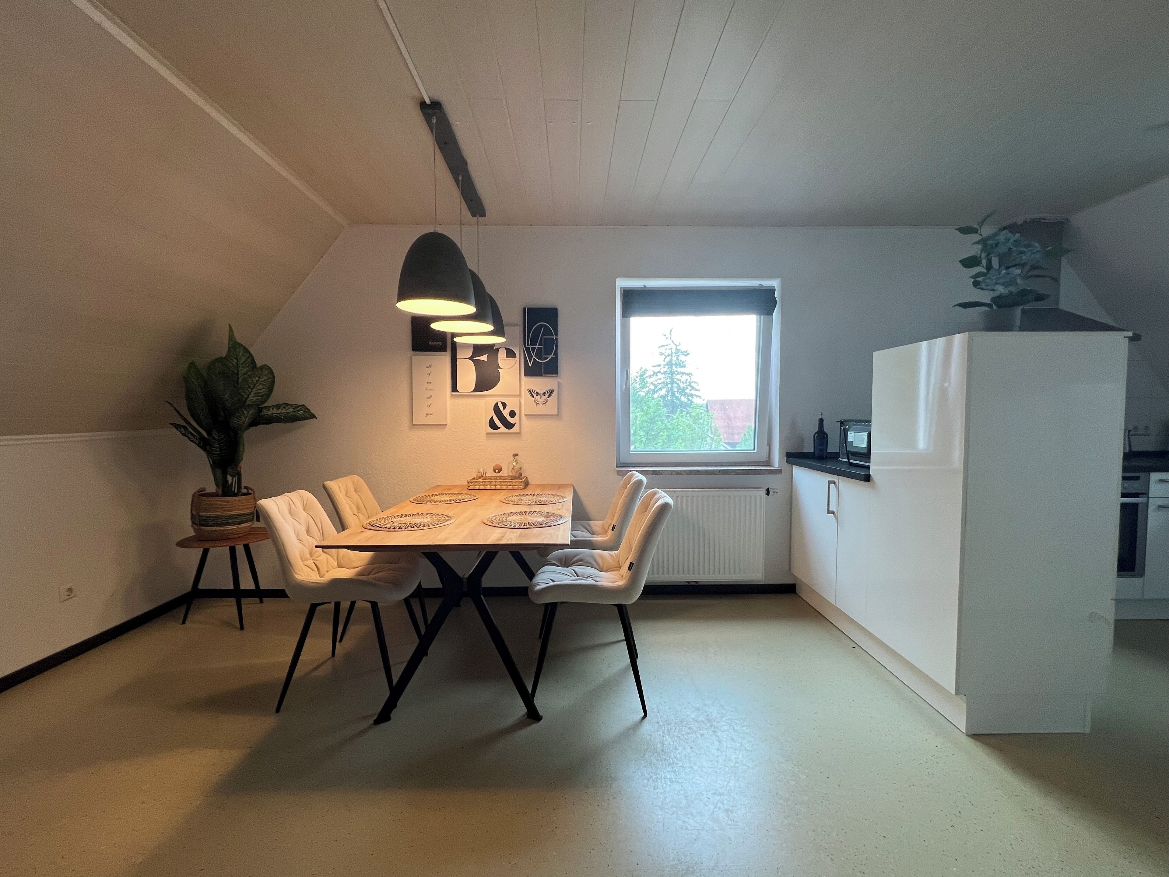 Un coin repas avec une table et des chaises, une plante en pot et une fenêtre donnant sur des arbres.