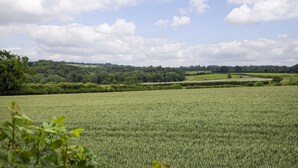 A vast field with a distant tree line under a partly cloudy sky. - Cosy one bedroom apartment - Keepers Annexe (Cranham)