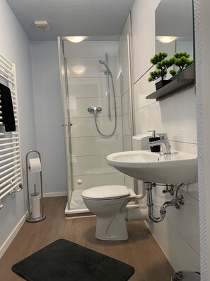 Regadera, secadora de cabello, toallas, jabón 