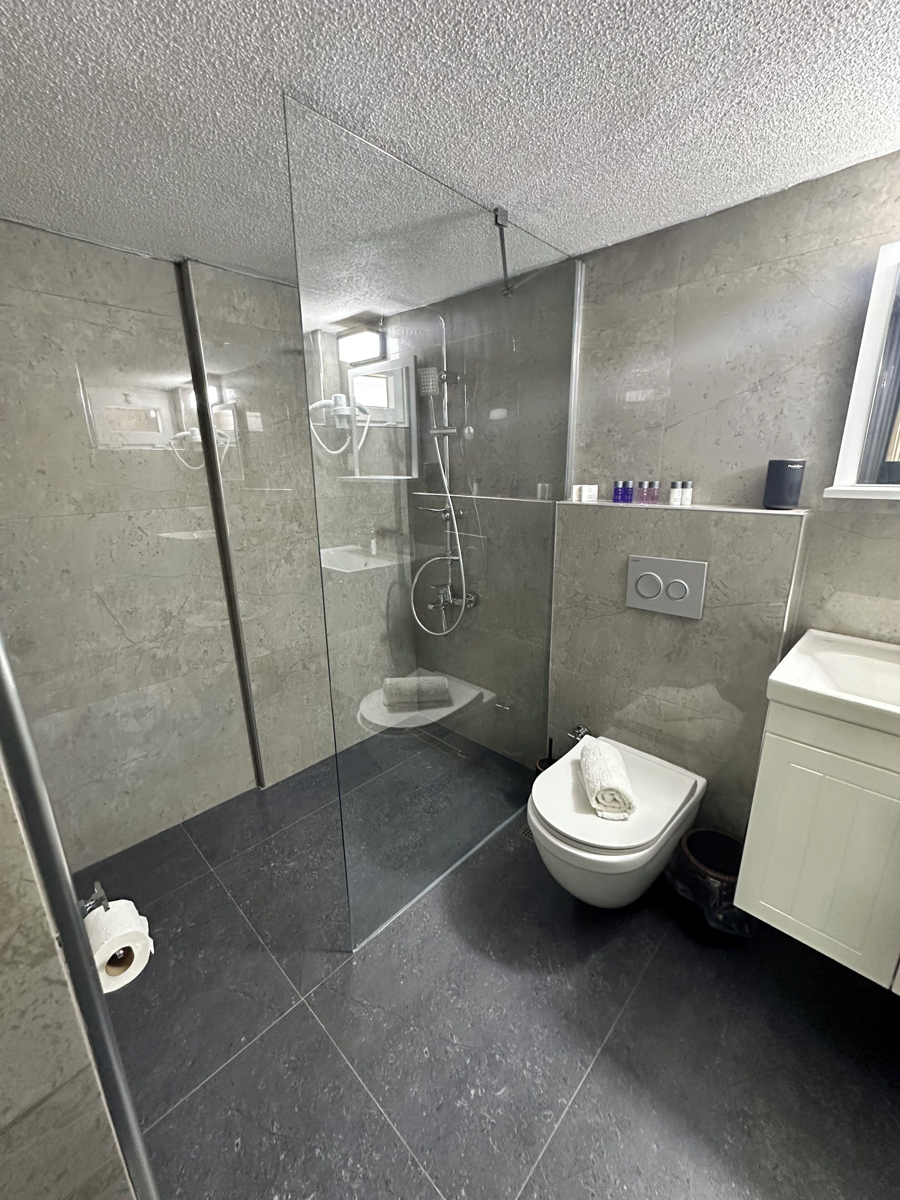 A modern bathroom with a glass-enclosed shower, a toilet, and a sink.