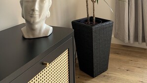 A room with a black cabinet, a potted plant with long green leaves, and a white bust sculpture. - Stylish apartment in the Gründerzeit district (Chemnitz)