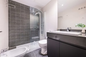Shower, hair dryer, bidet, towels