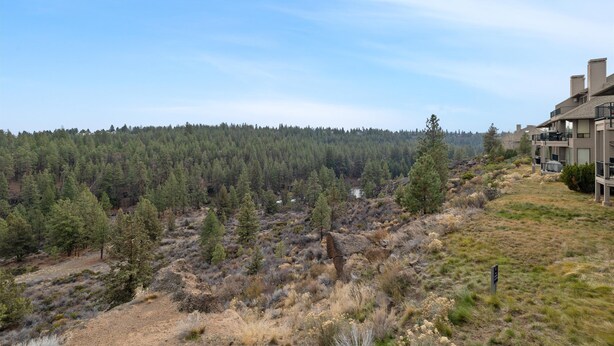 Uklassifisert bilde, 1 av 15, knapp