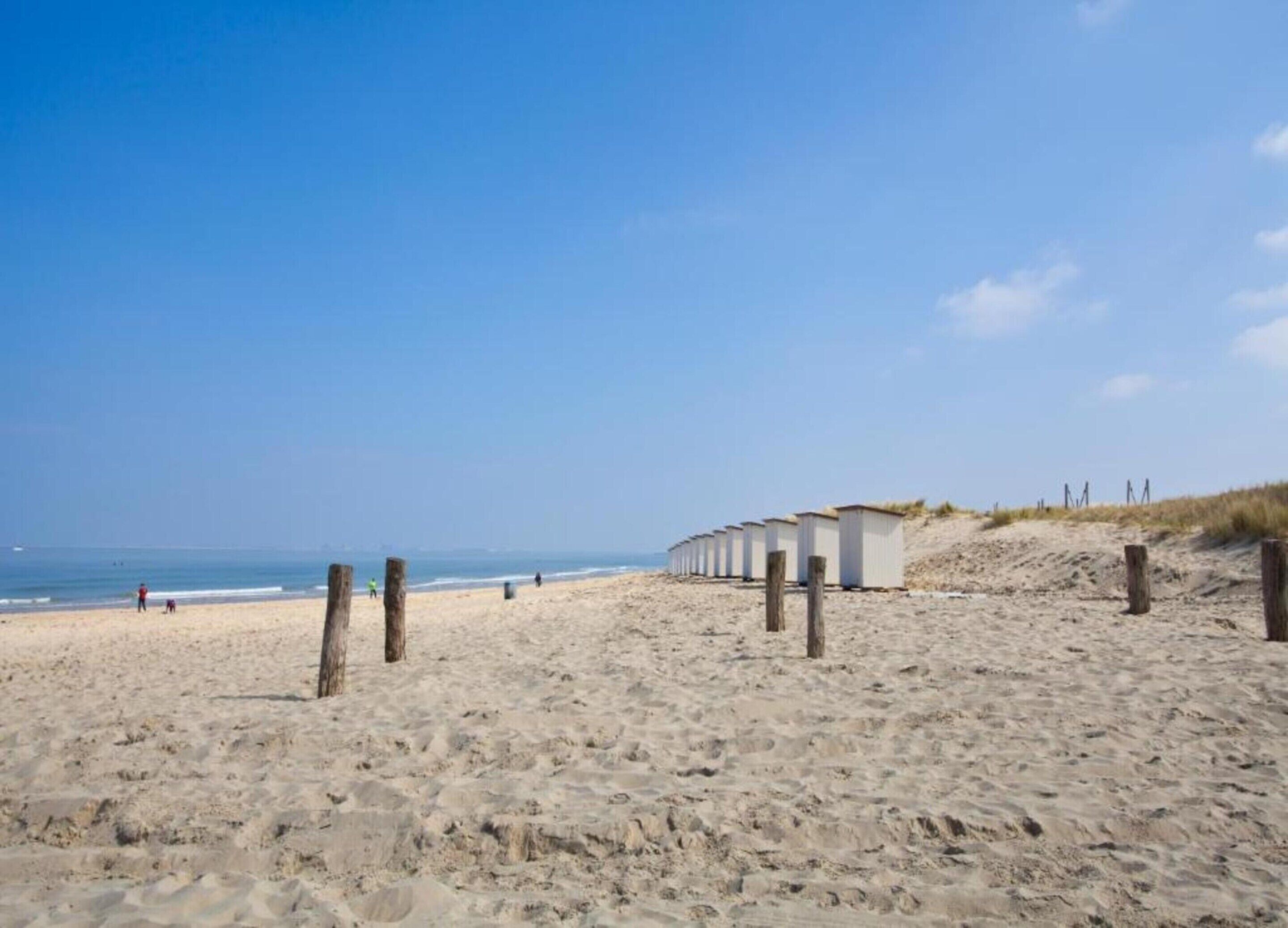 House | View from property