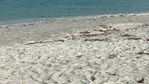 Une plage avec un rivage sablonneux et une mer calme.