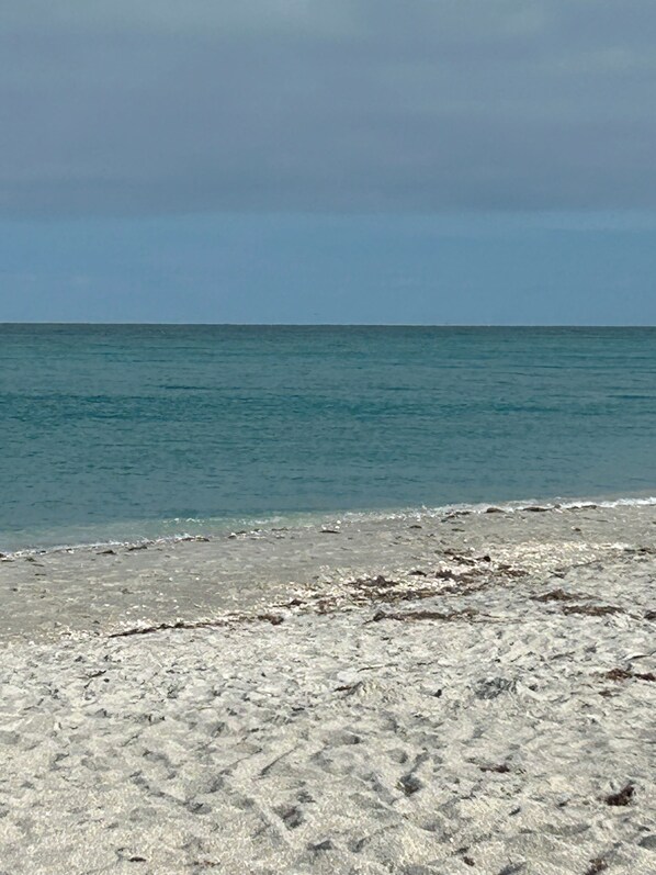 Beach - Charming 3-bedroom pool House in delightful Englewood (Englewood)