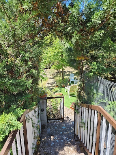 The Garden